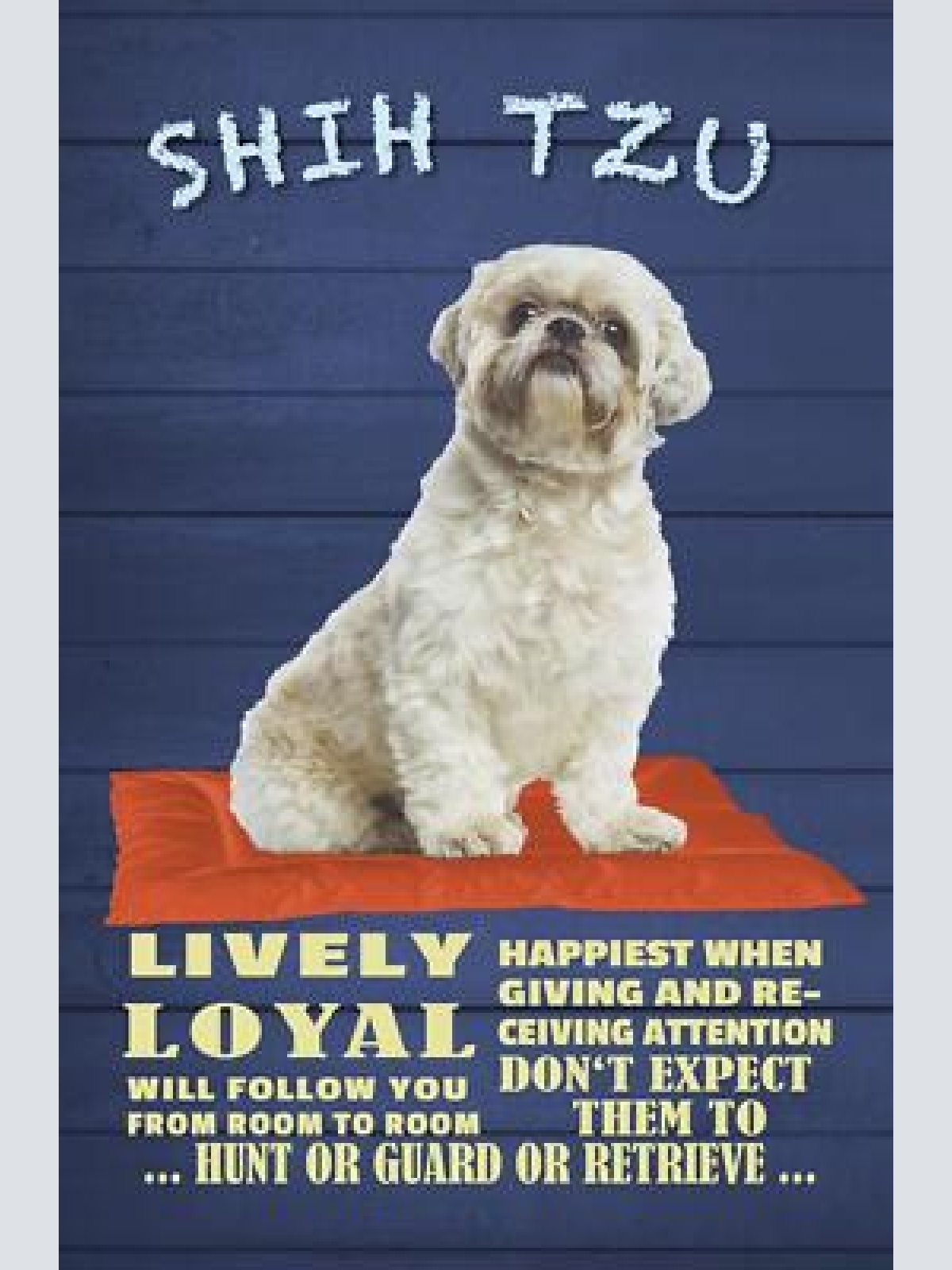 Schild spruch shih tzu steckbrief shih tzu lively lebendig hund jw