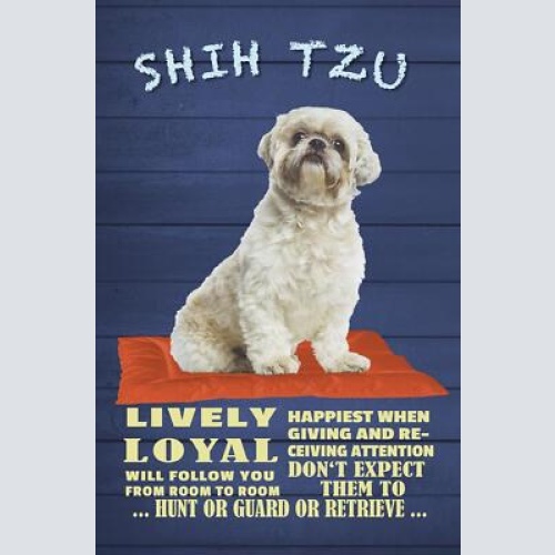Schild spruch shih tzu steckbrief shih tzu lively lebendig hund jw