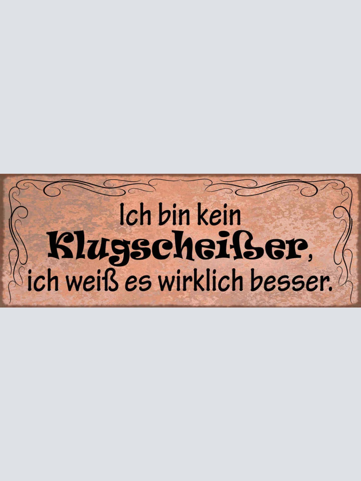 Schild Ich Bin Kein Klugscheißer Ich Weiß Es Wirklich Besser 27x10 Blech od.Holz