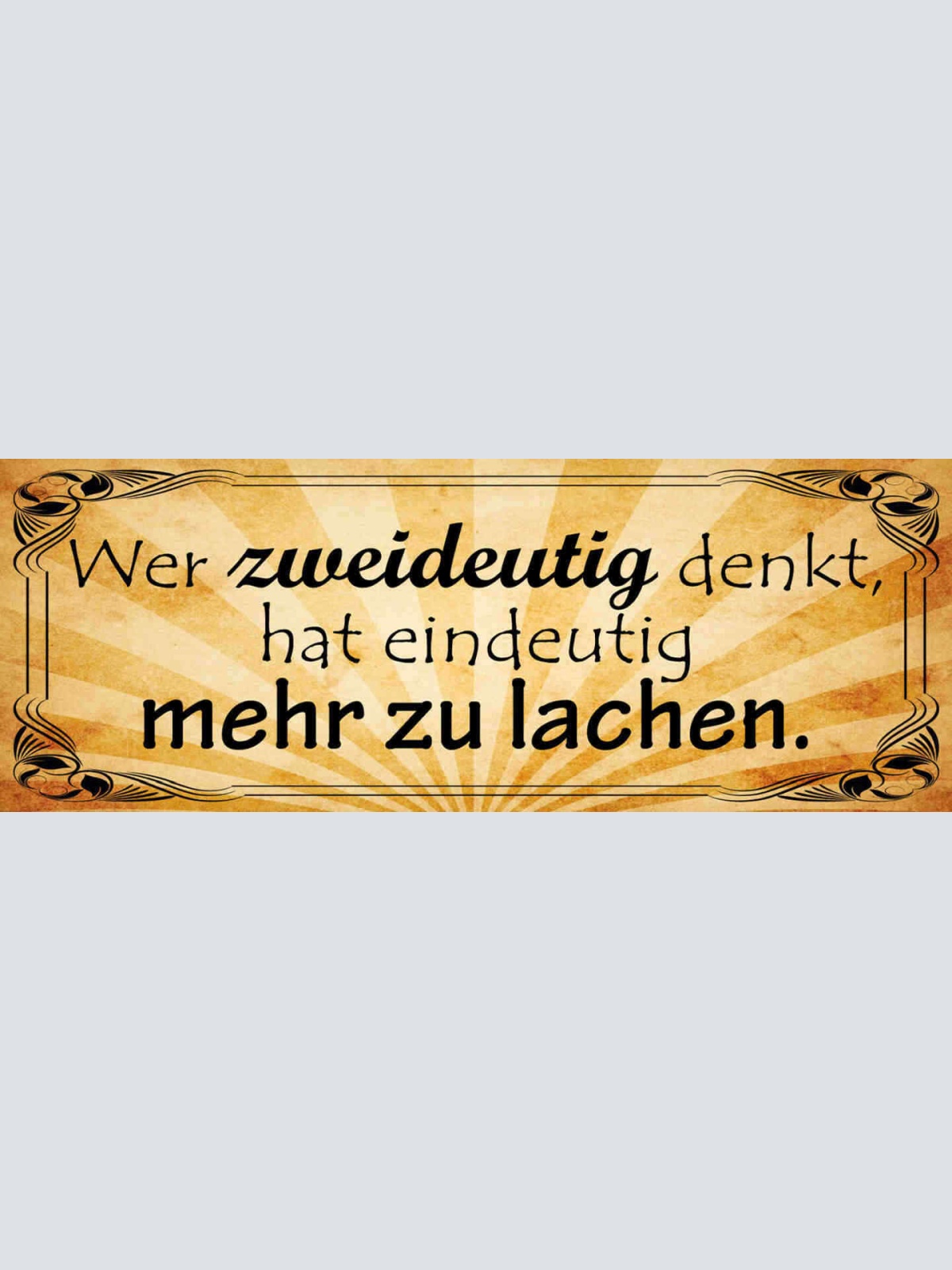 Schild Wer Zweideutig Denkt Hat Eindeutig Mehr Zu Lachen 27x10 Blech od.Holz