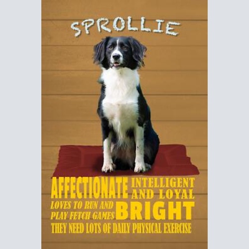 Schild spruch sprollie steckbrief bright schlau intelligent hund jw