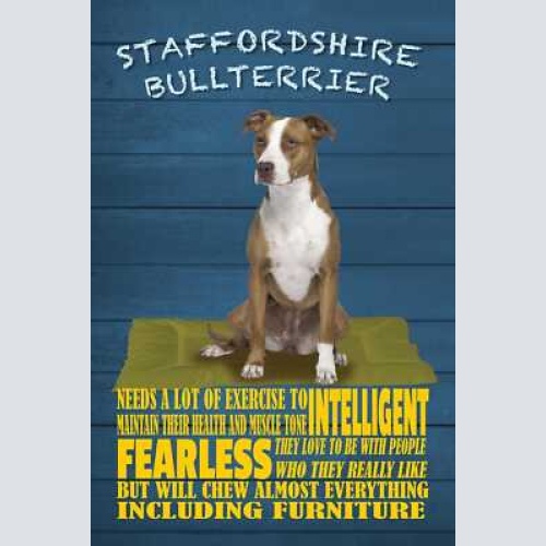 Schild spruch staffordshire bullterrier steckbrief fearless furchtlos hund jw