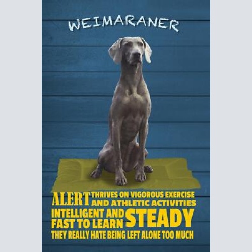 Schild spruch weimaraner steckbrief alert wachsam hund jw