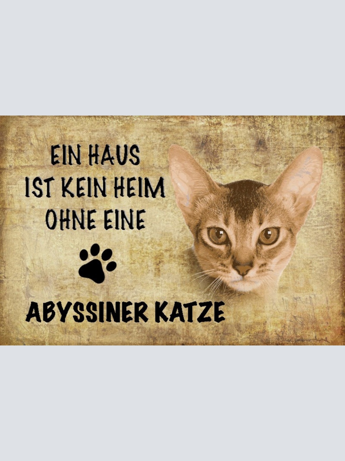 Schild Spruch Haus ist kein Heim ohne Abyssiner Katze JW