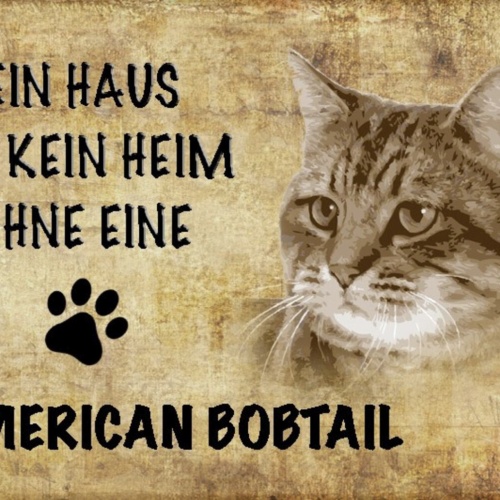 Schild Spruch Haus ist keine Heim ohne American Bobtail Katze JW