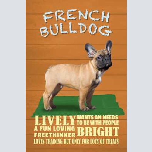 Schild spruch french bulldog steckbrief lively lebhaft hund jw