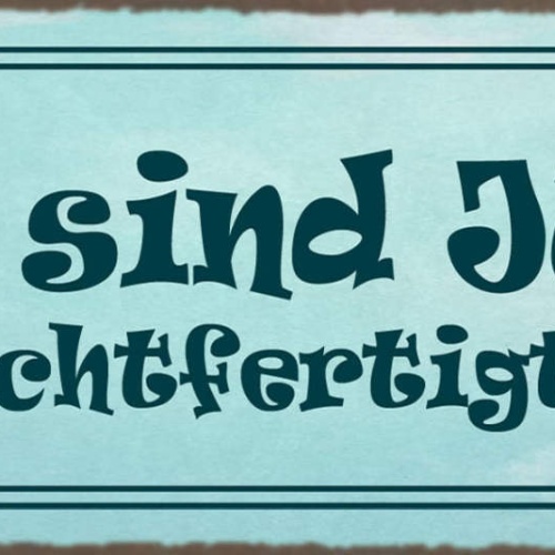 Schild Wir Sind Jung Das Rechtfertigt Alles Unerfahren 27x10 Blech od.Holz