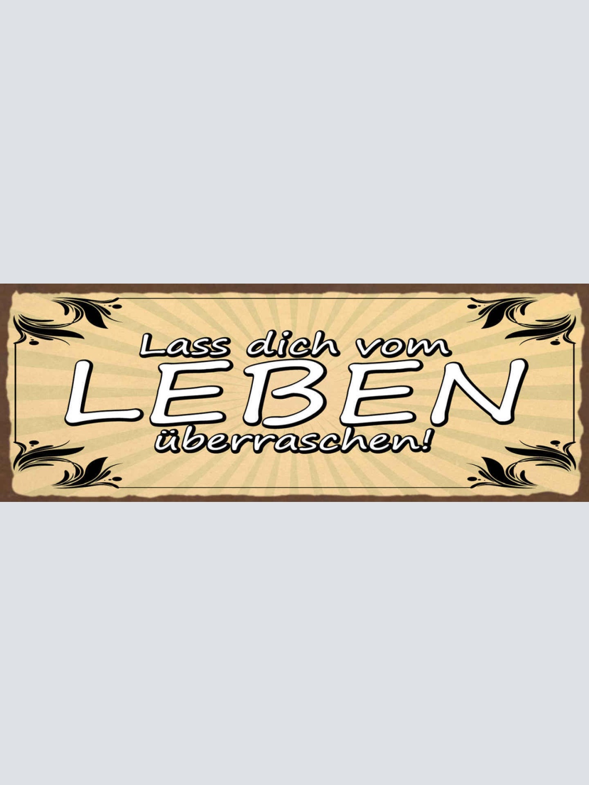 Schild Lass Dich Vom Leben Überraschen Kein Plan Offenheit 27x10 Blech od.Holz