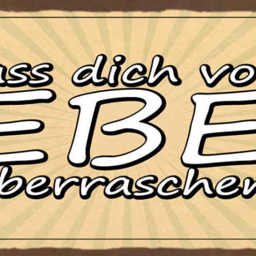 Schild Lass Dich Vom Leben Überraschen Kein Plan Offenheit 27x10 Blech od.Holz