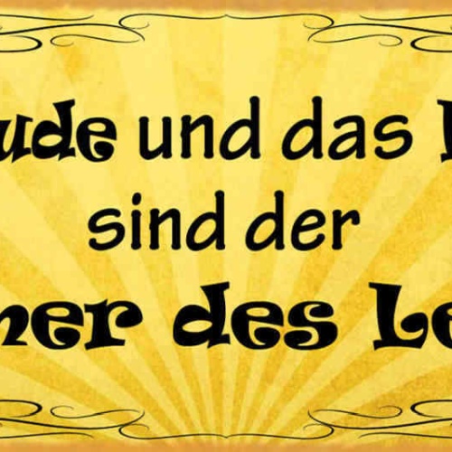 Schild Die Freude & Das Lächeln Sind Der Sommer Des Lebens 27x10 Blech od.Holz