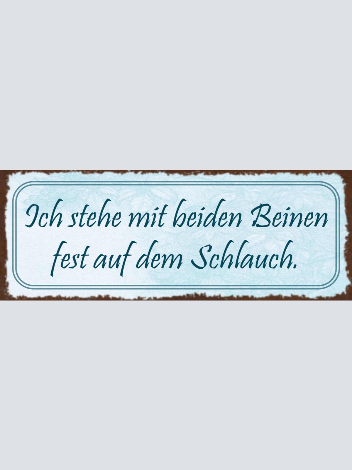 Schild Ich Stehe Mit Beiden Beinen Fest Auf Dem Schlauch 27x10 Blech od.Holz