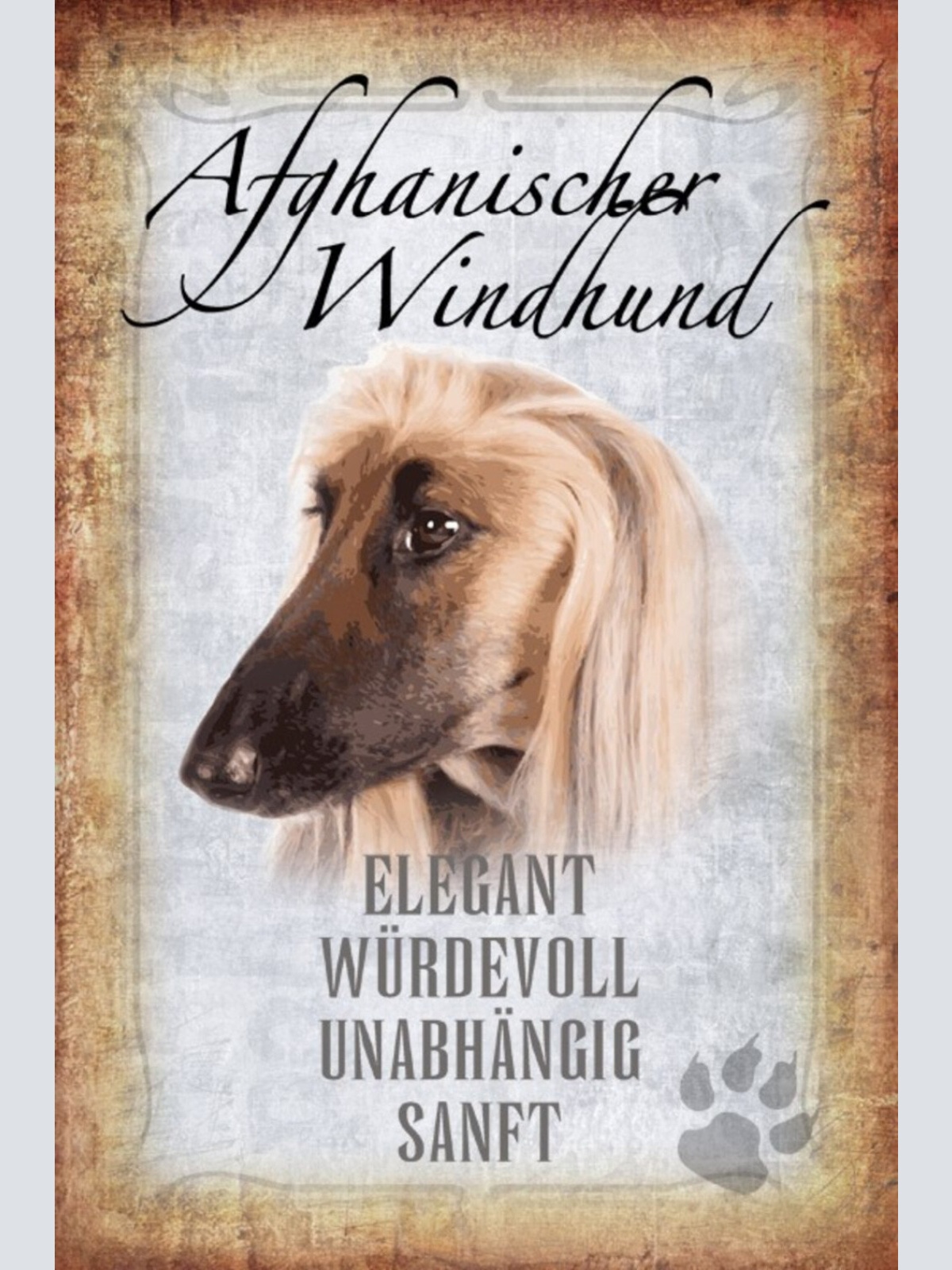 Schild Spruch Haus ist keine Heim ohne Afghanischer Windhund JW