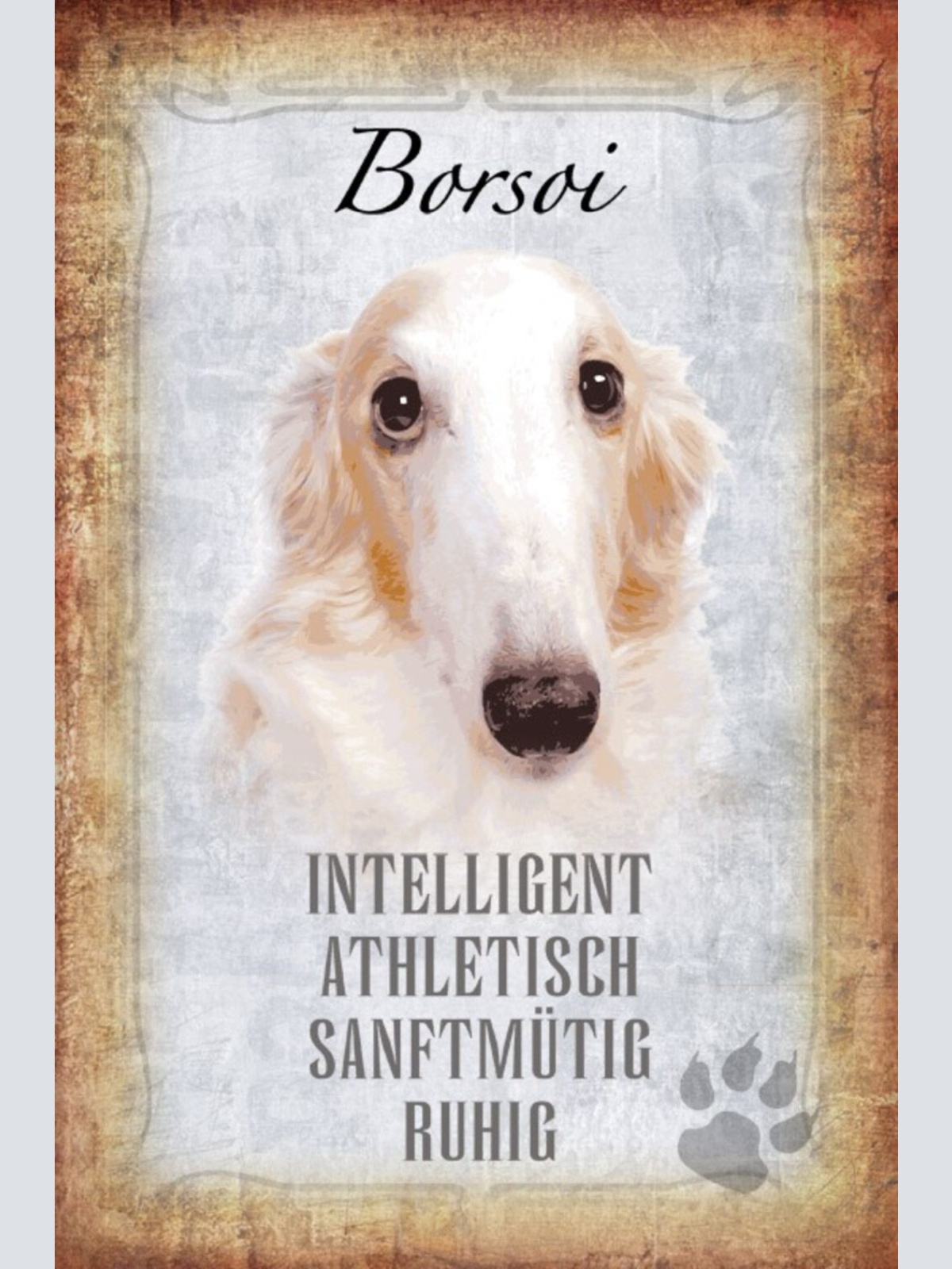 Schild Spruch Borsoi Hund Steckbrief Intelligent Athletisch JW