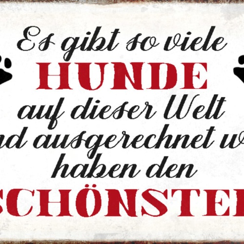 Schild Spruch Gibt so viele Hunde ausgerechnet wir haben den schönsten JW