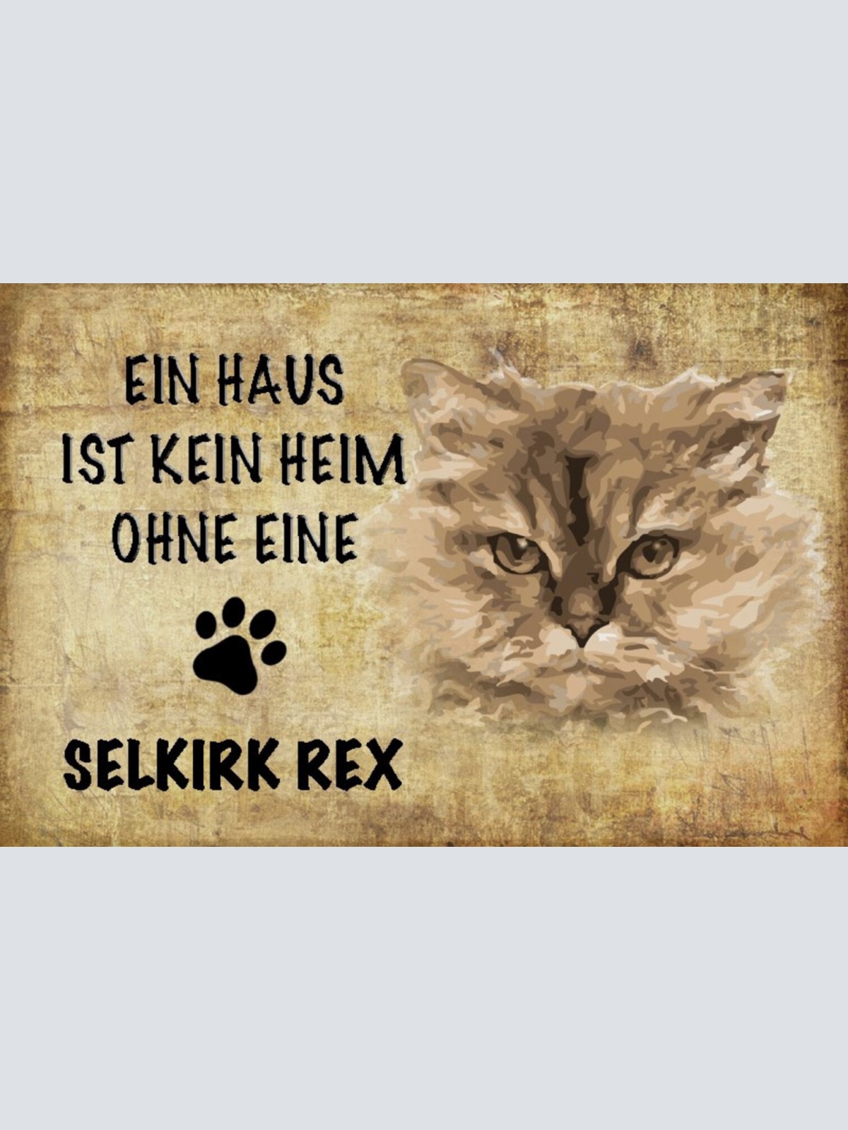 Schild Spruch Haus ist kein Heim ohne Selkirk Rex Katze JW