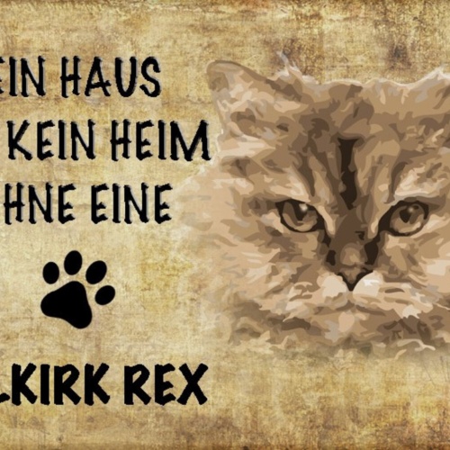 Schild Spruch Haus ist kein Heim ohne Selkirk Rex Katze JW