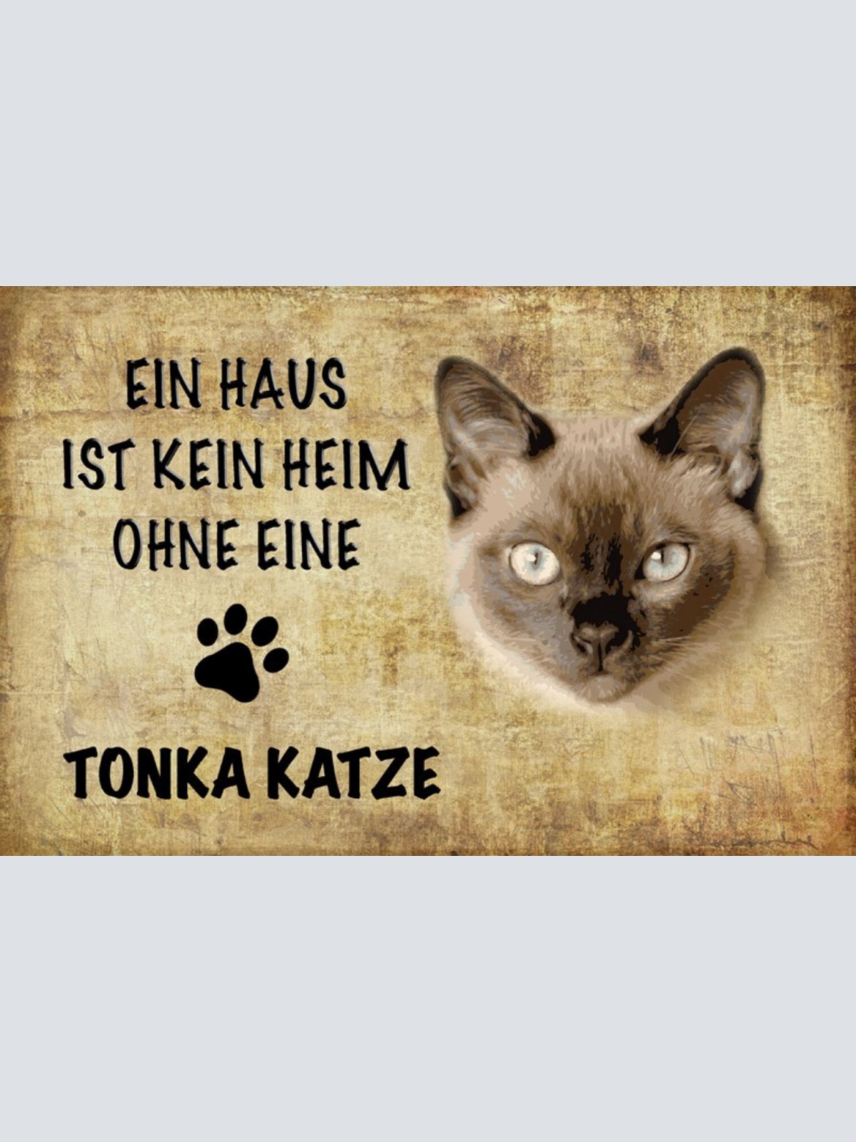 Schild Spruch Haus ist kein Heim ohne Tonka Katze JW