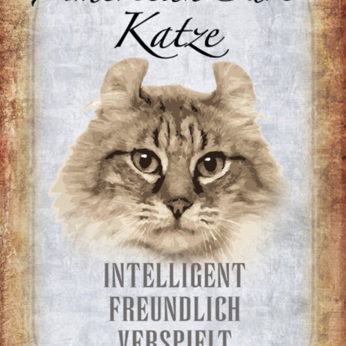 Schild Spruch American Curl Katze Steckbrief Intelligent Freundlich Sanft JW