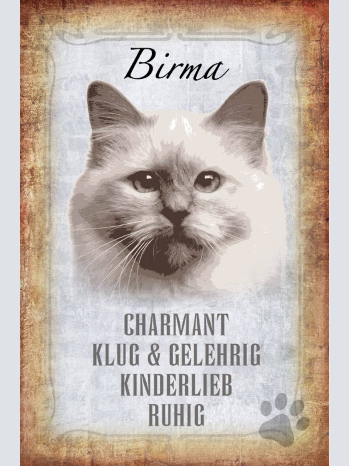 Schild Spruch Birma Katze Steckbrief Charmant Kinderlieb JW