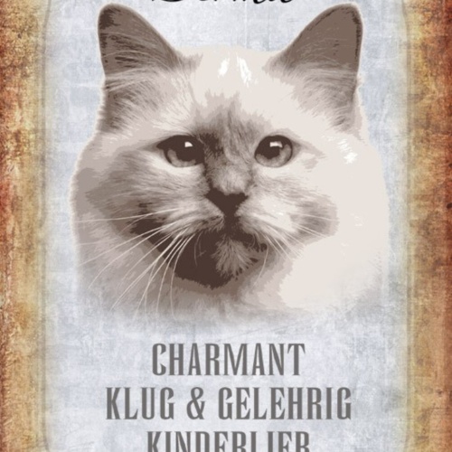Schild Spruch Birma Katze Steckbrief Charmant Kinderlieb JW