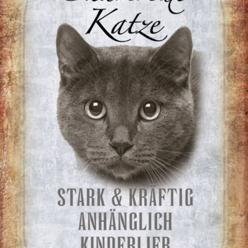 Schild Spruch Chartreux Katze Steckbrief Anhänglich Kinderlieb JW