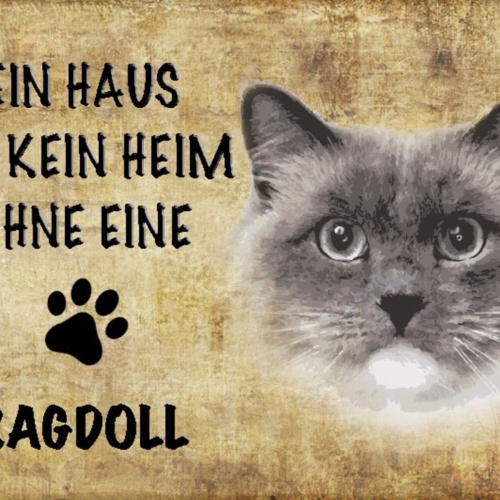 Schild Spruch Haus ist kein Heim ohne Ragdoll Katze JW