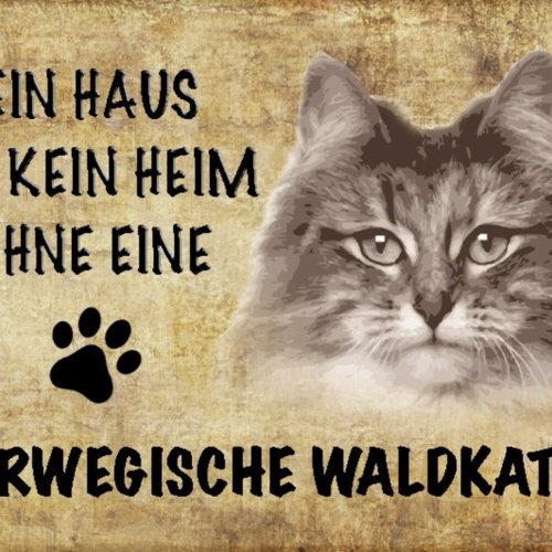 Schild Spruch Haus ist kein Heim ohne Norwegische Waldkatze JW