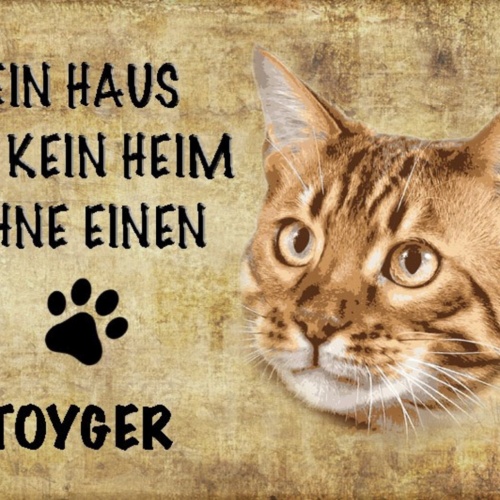 Schild Spruch Haus ist kein Heim ohne Tyoger Katze JW