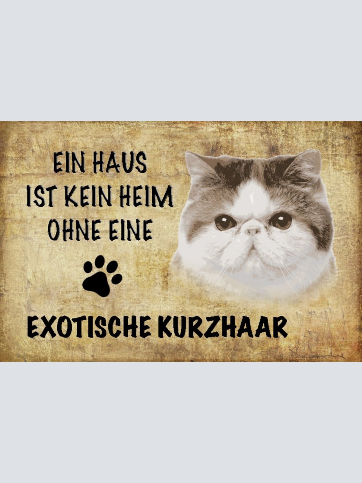Schild Spruch Haus ist kein Heim ohne Exotische Kurzhaar Katze JW