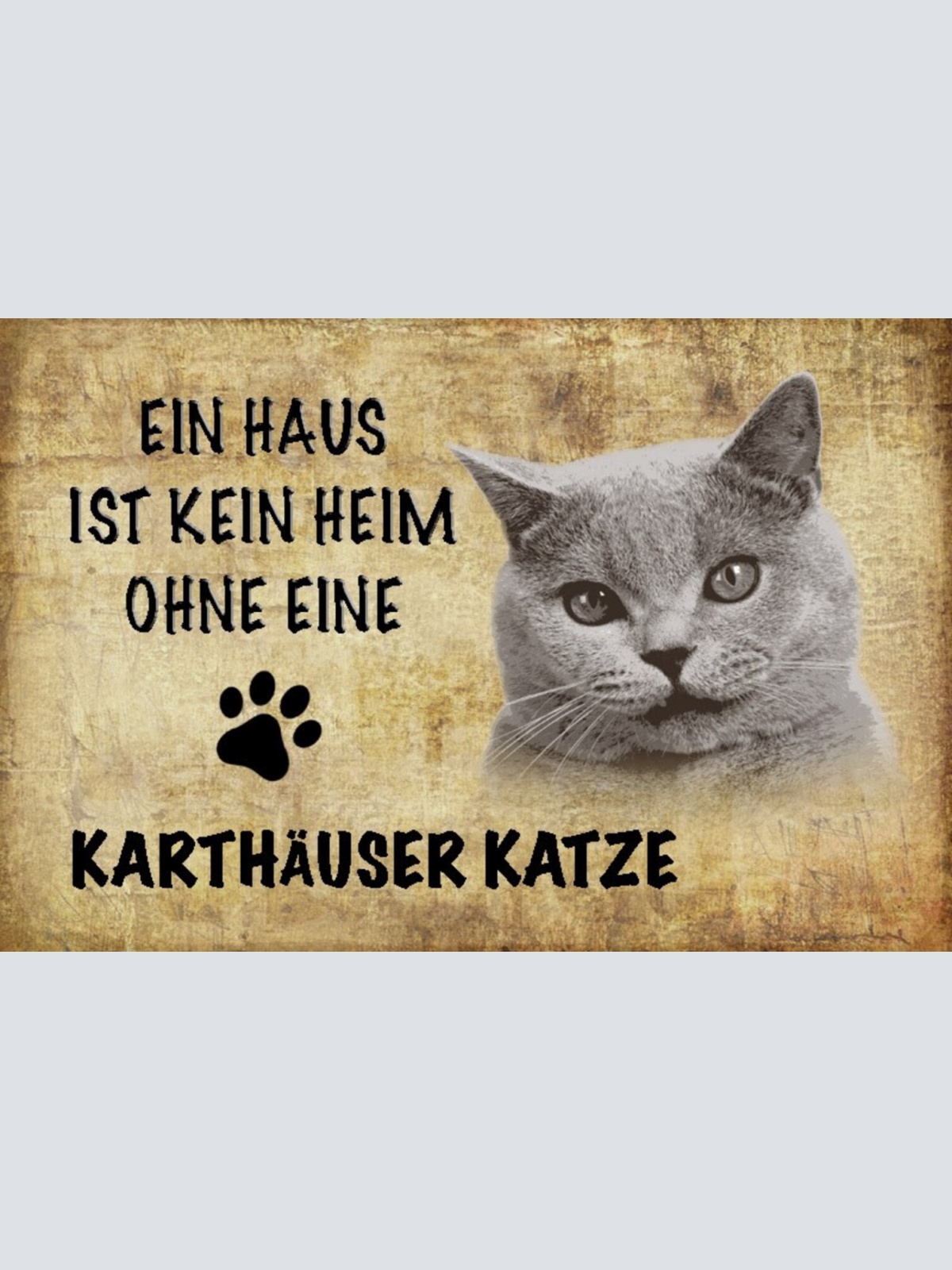 Schild Spruch Haus ist kein Heim ohne Karthäuser Katze JW