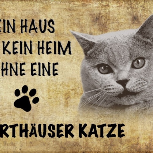 Schild Spruch Haus ist kein Heim ohne Karthäuser Katze JW