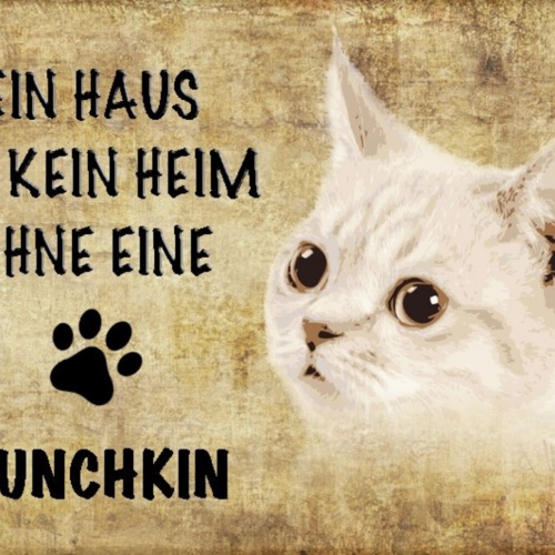 Schild Spruch Haus ist kein Heim ohne Munchkin Katze JW