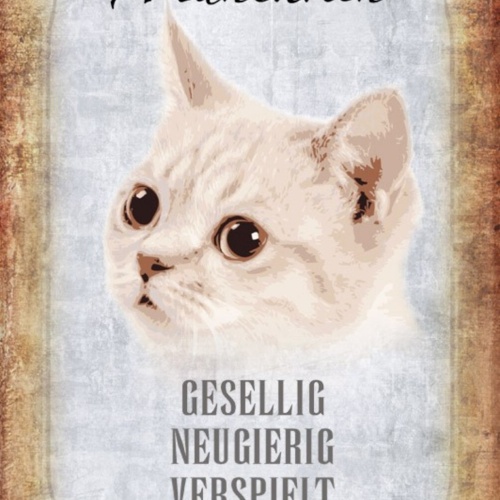 Schild Spruch Munchkin Katze Steckbrief Gesellig Neugierig JW
