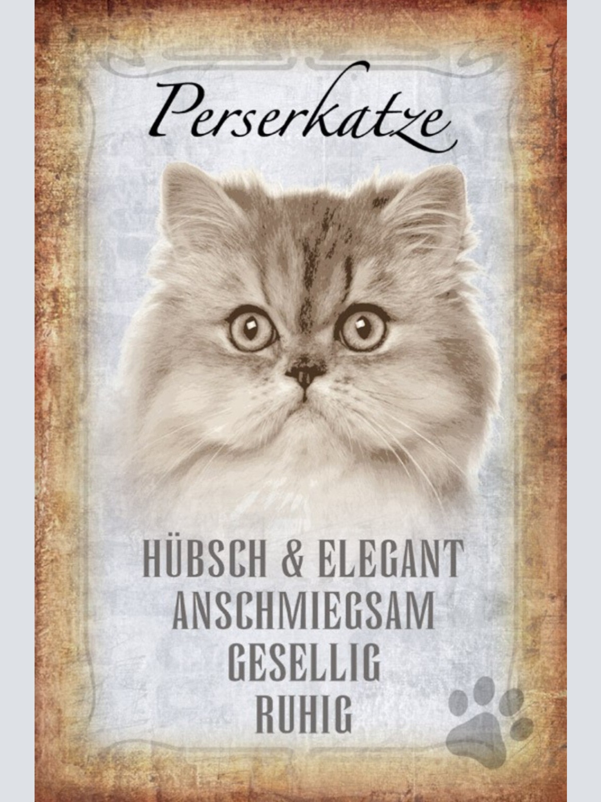 Schild Spruch Perserkatze Steckbrief Hübsch Elegant Gesellig JW