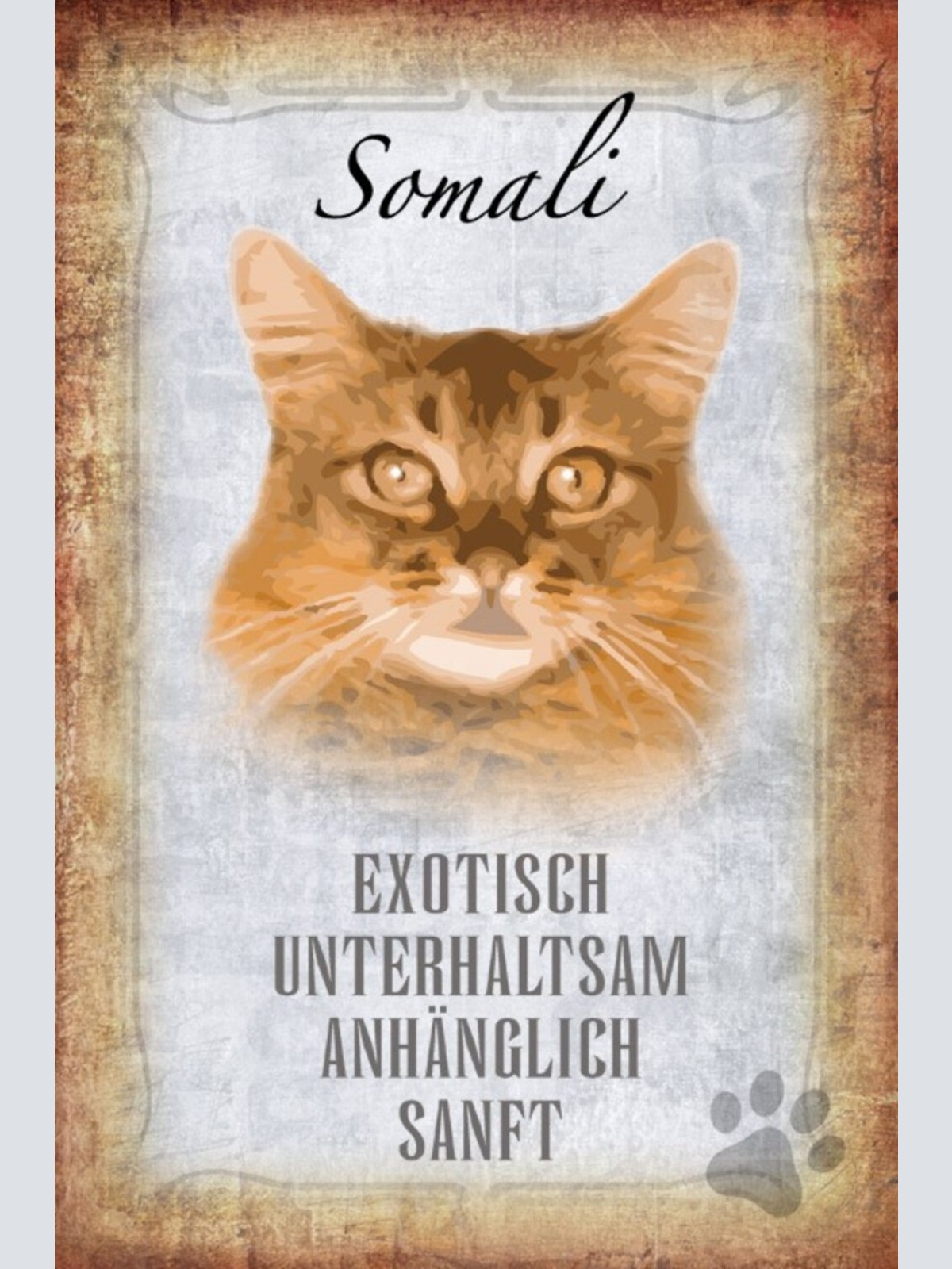 Schild Spruch Somali Katze Steckbrief Exotisch Sanft  JW