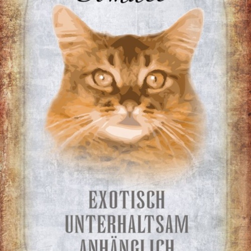 Schild Spruch Somali Katze Steckbrief Exotisch Sanft  JW