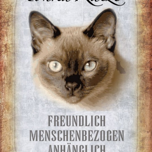 Schild Spruch Tonka Katze Steckbrief Freundlich Menschenbezogen JW