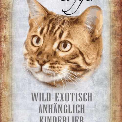 Schild Spruch Toyger Katze Steckbrief Anhänglich Kinderlieb JW