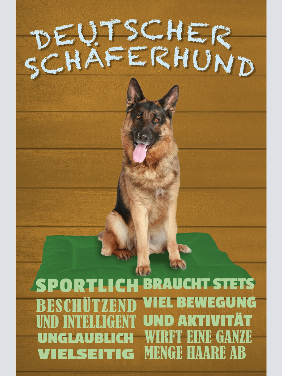 Schild Spruch Deutscher Schäferhund Steckbrief Vielseitig Sportlich Hund JW