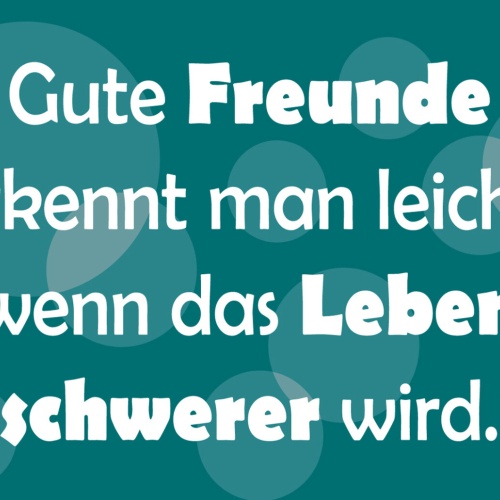 Schild Spruch Gute Freunde erkennt man wenn das Leben schwerer wird Liebe JW