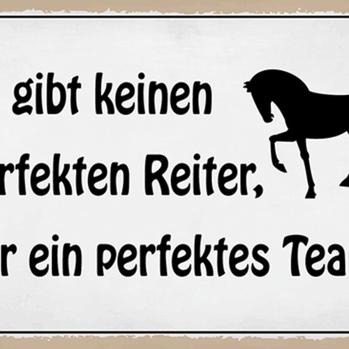 Schild Spruch Es gibt keinen perfekten Reiter nur ein perfektes Team Pferd  JW