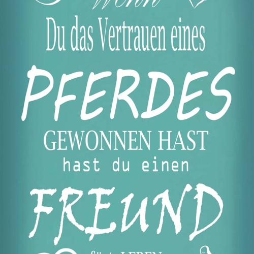 Schild Spruch Wenn du Vertrauen eines Pferdes gewonnen hast Freund fürs Leben JW