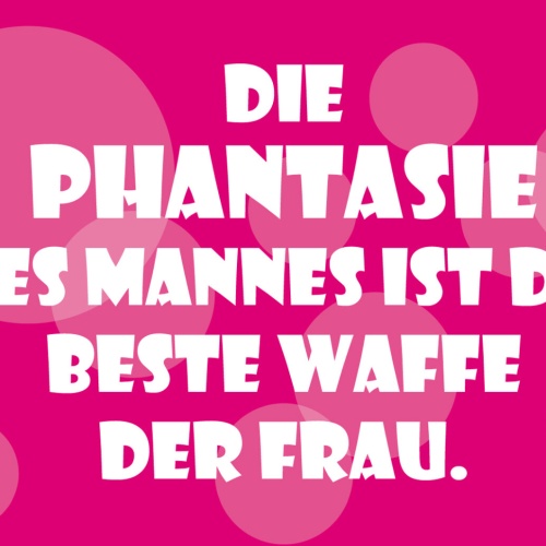 Schild Spruch Phantasie des Mannes ist beste Waffe der Frau Liebe JW