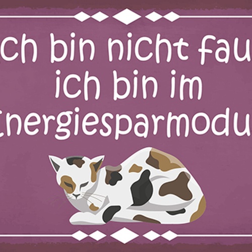 Schild Spruch Ich bin nicht faul Ich bin im Energiesparmodus Katze Comic JW