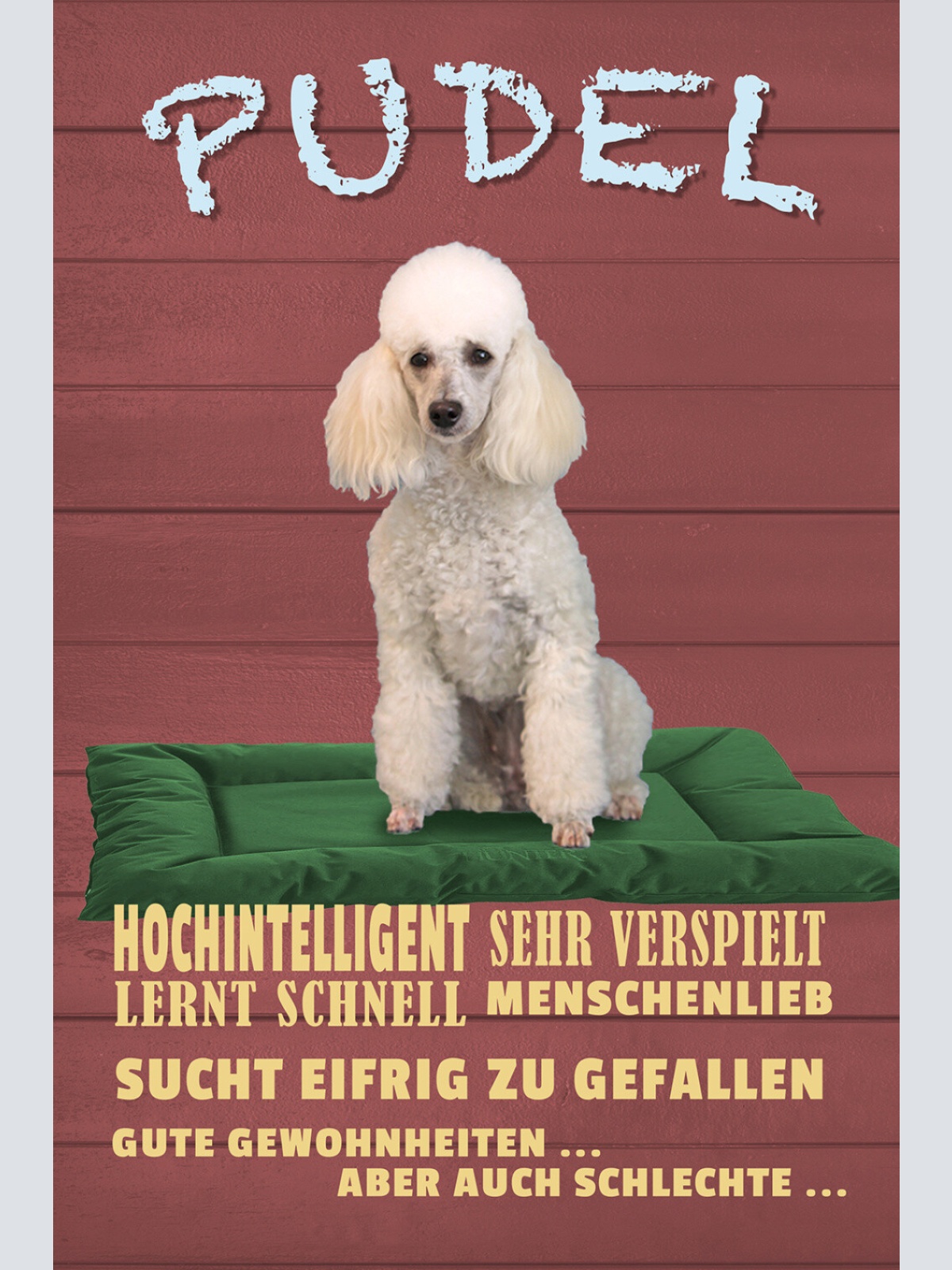 Schild Spruch Pudel Steckbrief Hochintelligent sehr verspielt Hund JW
