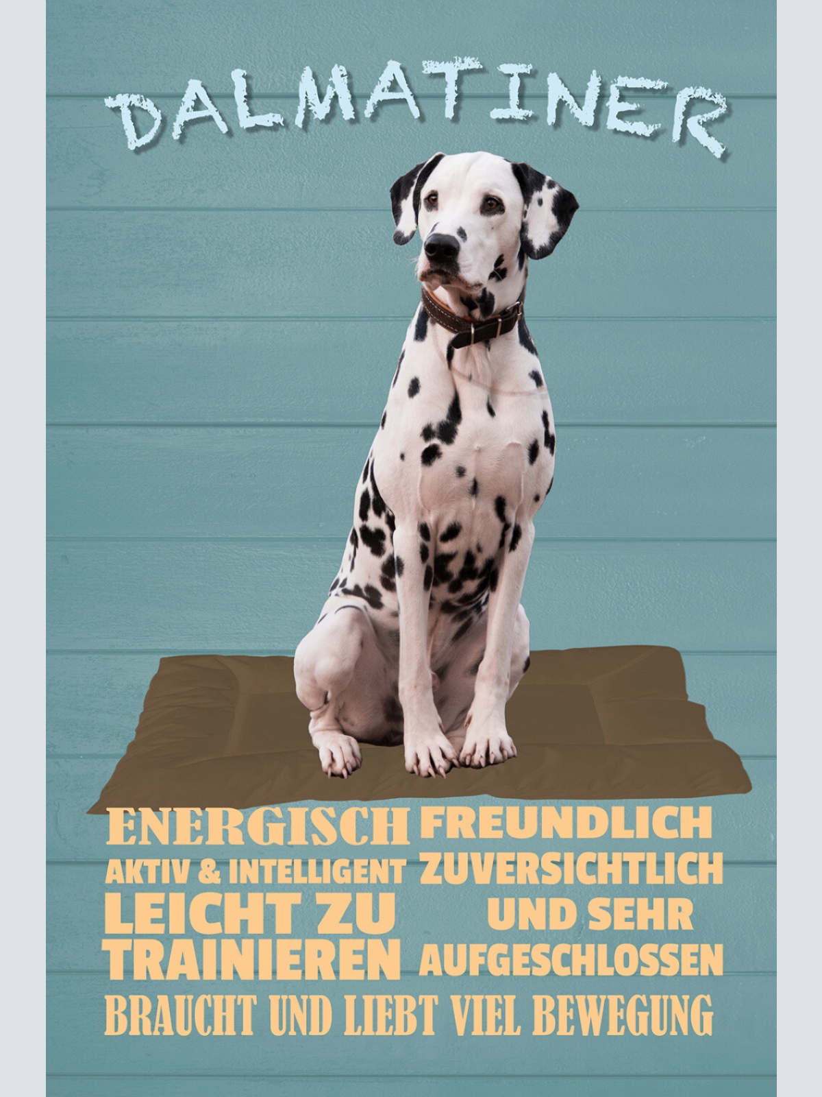 Schild Spruch Dalmatiner Steckbrief Energisch Intelligent Freundlich Hund JW