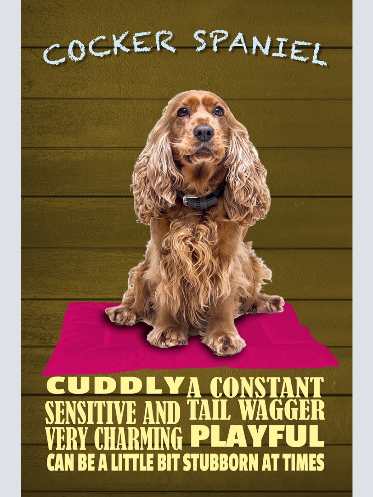 Schild Spruch Cocker Spaniel Steckbrief Playful Verspielt Hund JW