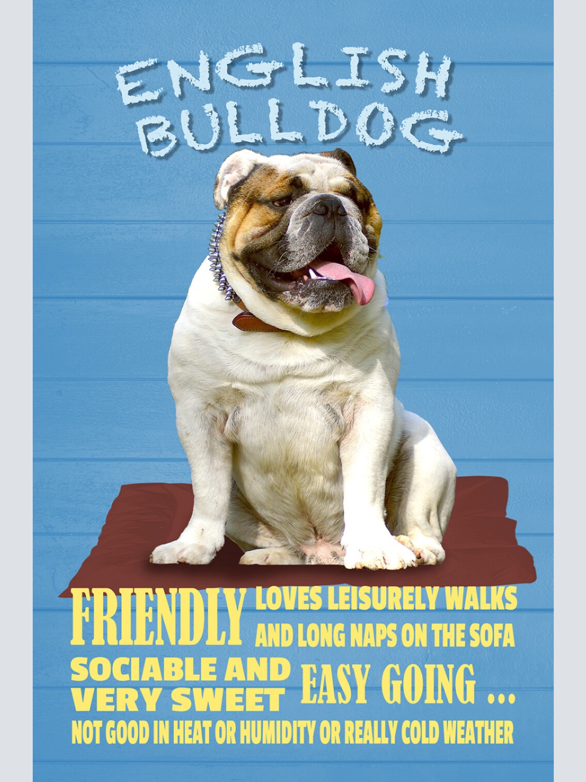 Schild Spruch English Bulldog Steckbrief Friendly Freundlich Hund JW