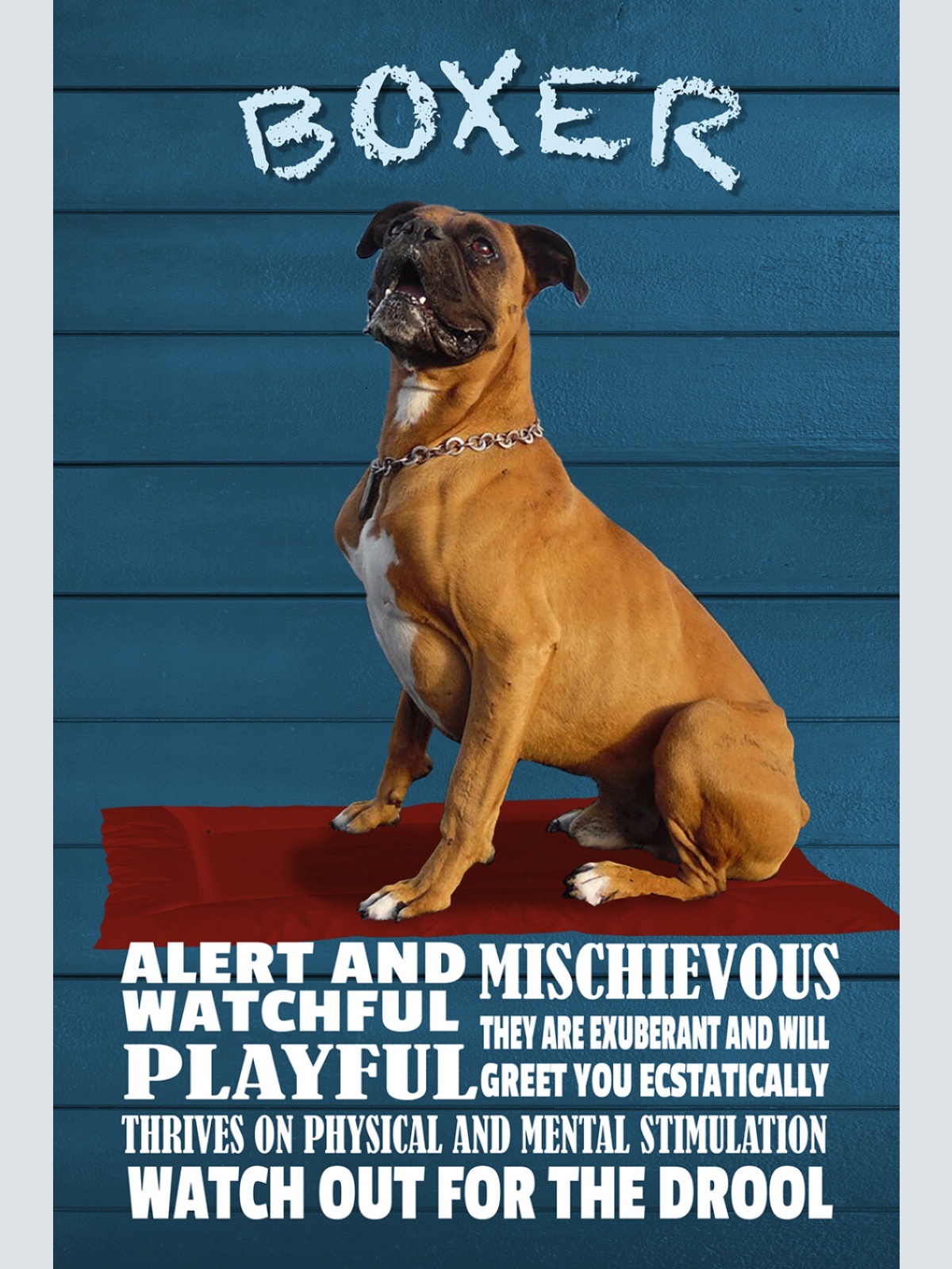 Schild Spruch Boxer Steckbrief Watchful Wachsam Hund JW