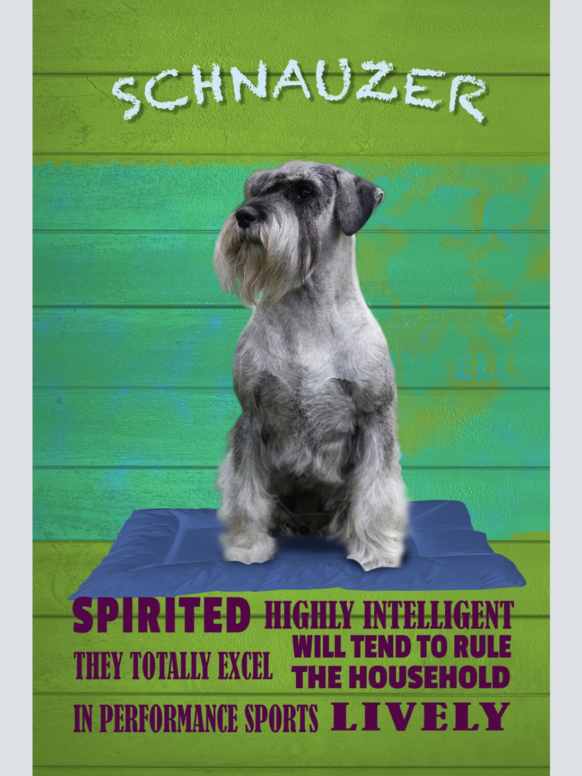 Schild Spruch Schnauzer Steckbrief Highly Intelligent Hochintelligent Hund JW